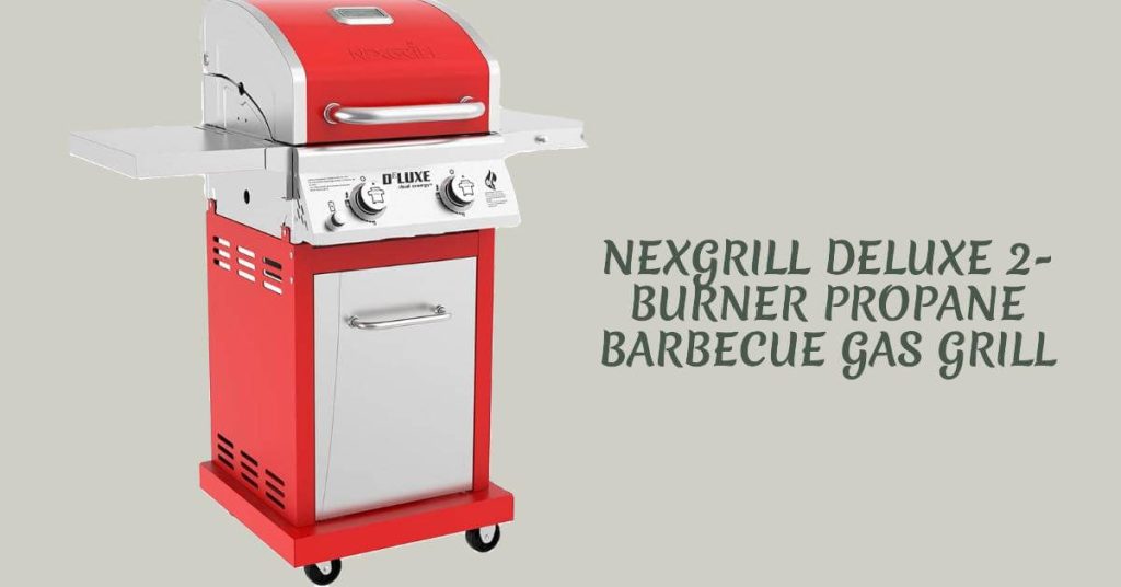 Best Two Burner Gas Grill