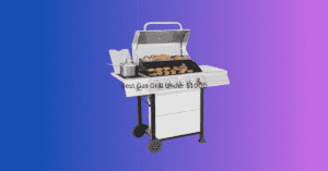 Best Gas Grill Under $1000